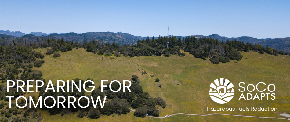 Sonoma County Hazardous Fuels Reduction Project