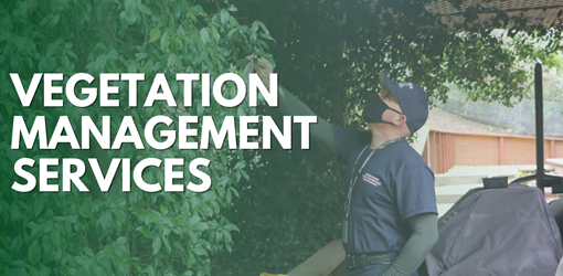 Vegetation Management Services